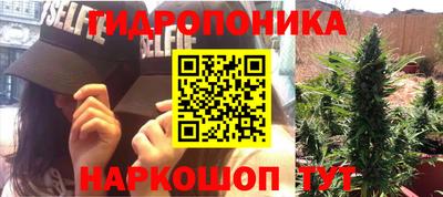 ПСИЛОЦИБИНОВЫЕ ГРИБЫ Тула