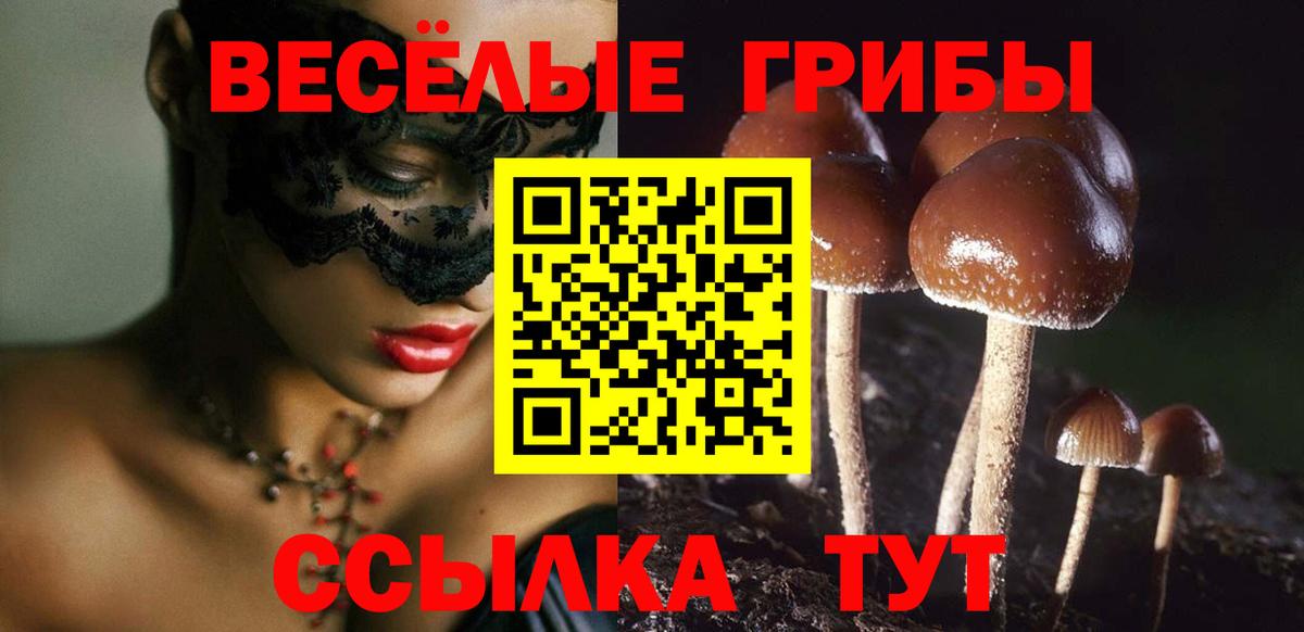 Мыски  Галлюциногенные грибы ЛСД  Псилоцибиновые грибы мухоморы  Вход с VPN 