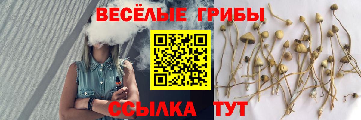 Галлюциногенные грибы ЛСД Мыски